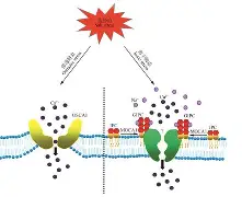 x^?绔V?l盐i	'D祻襮P~_I(?.L逖的简单介绍