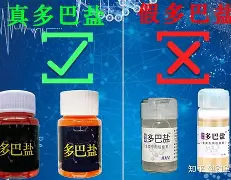 x^?绔V?l盐i	'D祻襮P~_I(?.L逖的简单介绍